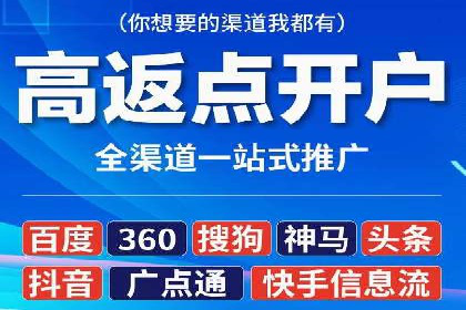 竞价广告与自然搜索的结合策略：XX网站的案例分析